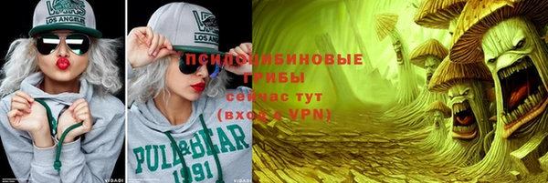 молекула духа Рославль