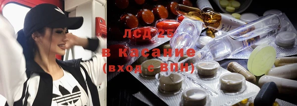 мет Алексин